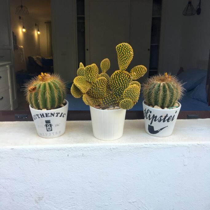 Vivienda Vacacional Cactus Costa Teguise Exterior photo